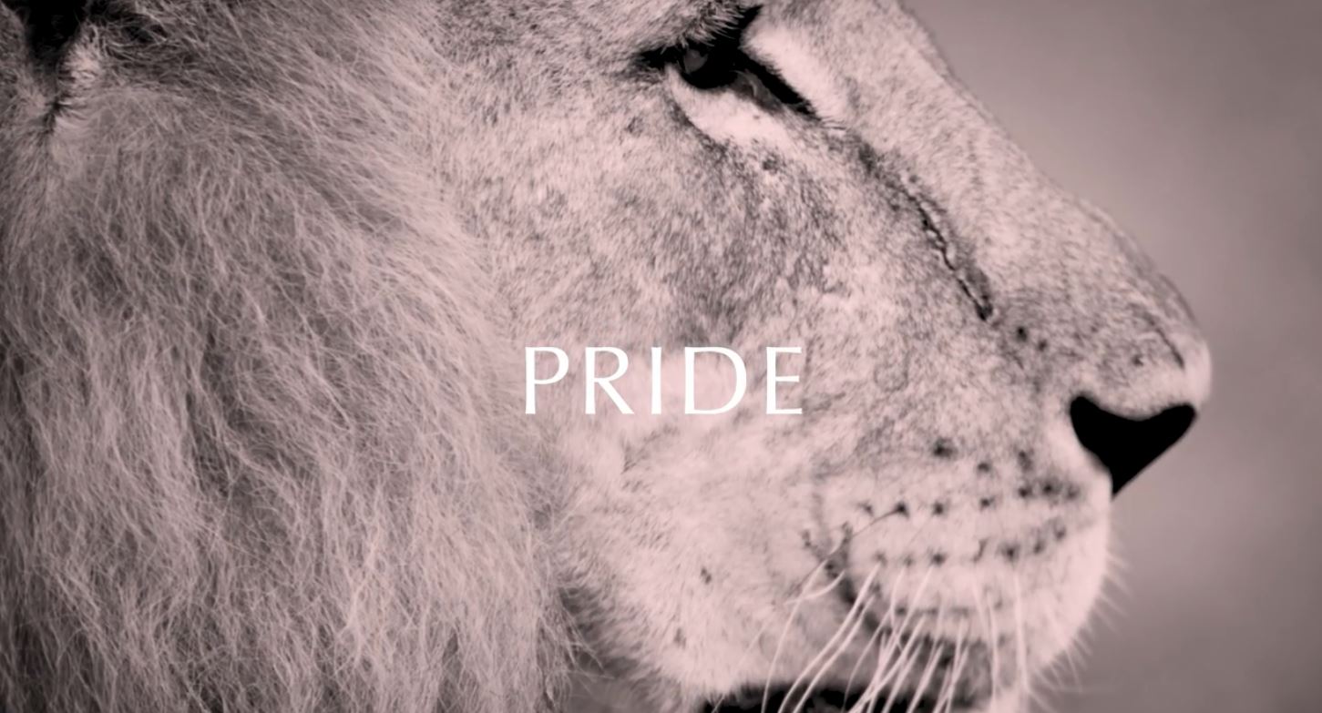 Pride